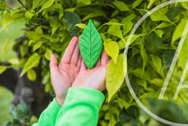 Certificaciones Ambientales